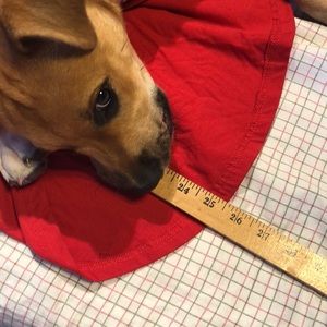 Dog basketball shirt XL